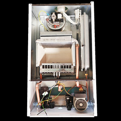 L1PB 32- (F1) غلاية غاز للاستحمام من الفولاذ المقاوم للصدأ مثبتة على الحائط 32Kw