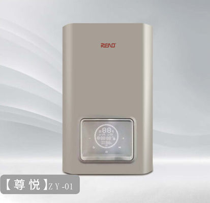 غاز الحائط 20kw الغاز الطبيعي أو الغاز المسال الجمع